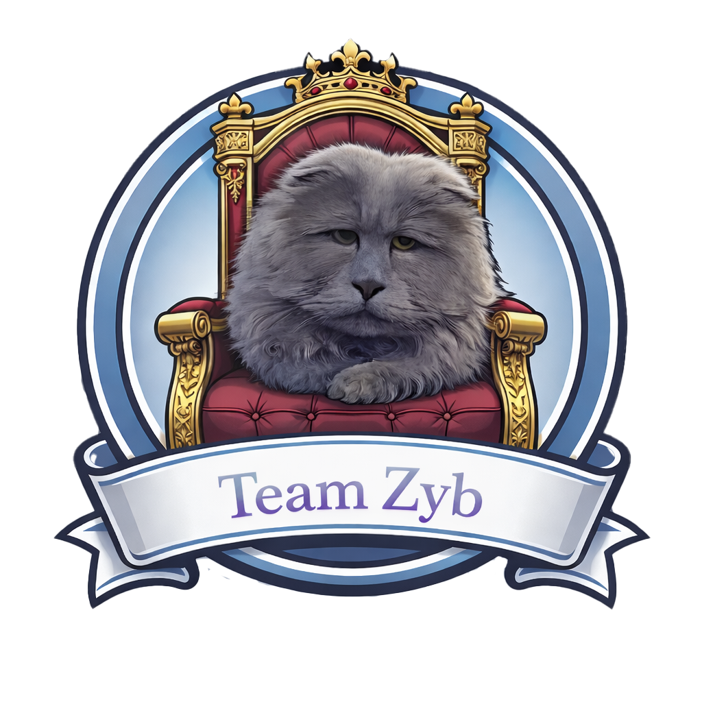 Team Zyb